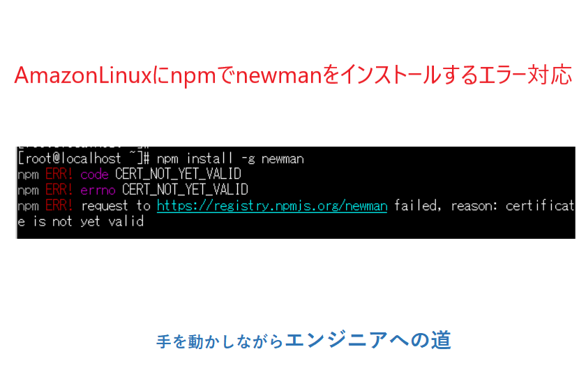 newmanインストールエラー対応